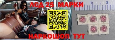 тгк Новодвинск