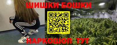 тгк Новодвинск