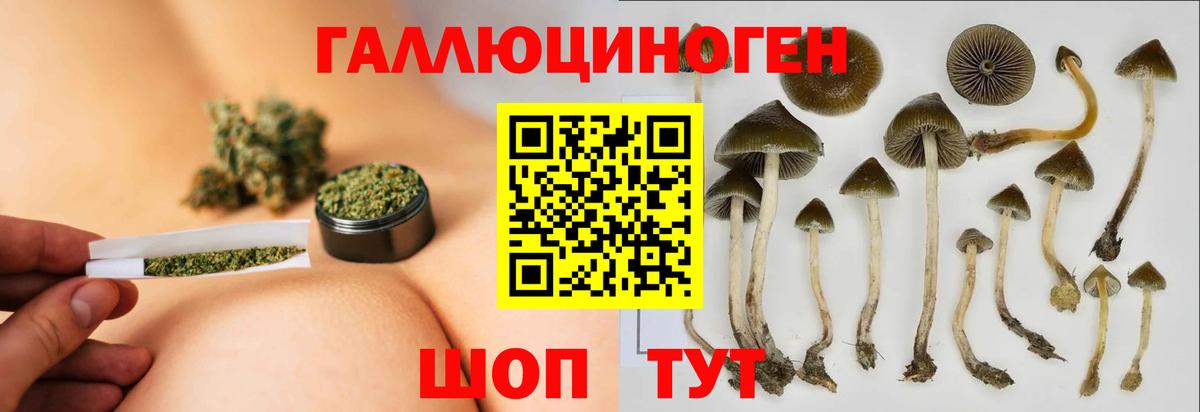 Псилоцибиновые грибы Psilocybe  Вход с VPN  Киреевск 